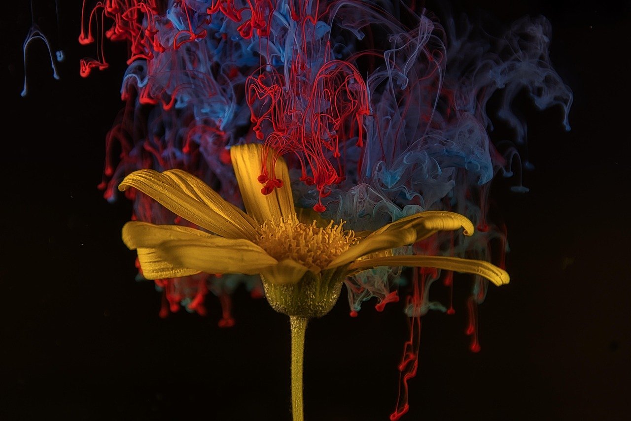 flower, wallpaper hd, windows wallpaper, ink, beautiful wallpaper, abstract, cool backgrounds, colorful, petals, yellow flower, 4k wallpaper 1920x1080, nature, bloom, free wallpaper, floral background, flower background, beauty, wallpaper 4k, decorative, mac wallpaper, beautiful flowers, laptop wallpaper, full hd wallpaper, free background, flower wallpaper, hd wallpaper, 4k wallpaper, paint, desktop backgrounds, art, background